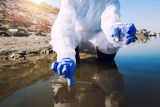 image Eutrophication fresh water